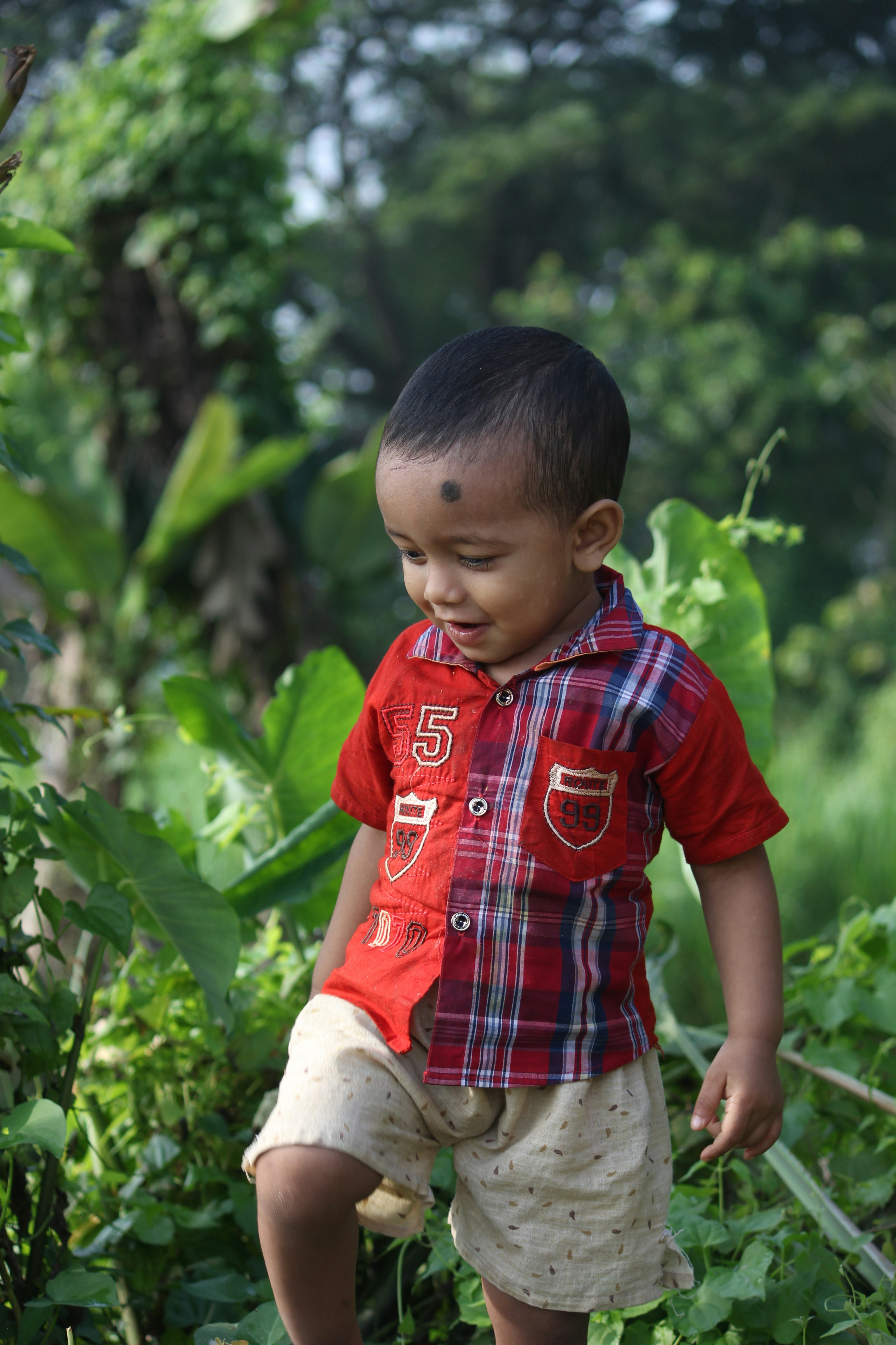 体验场景：专题合集与行业动态
