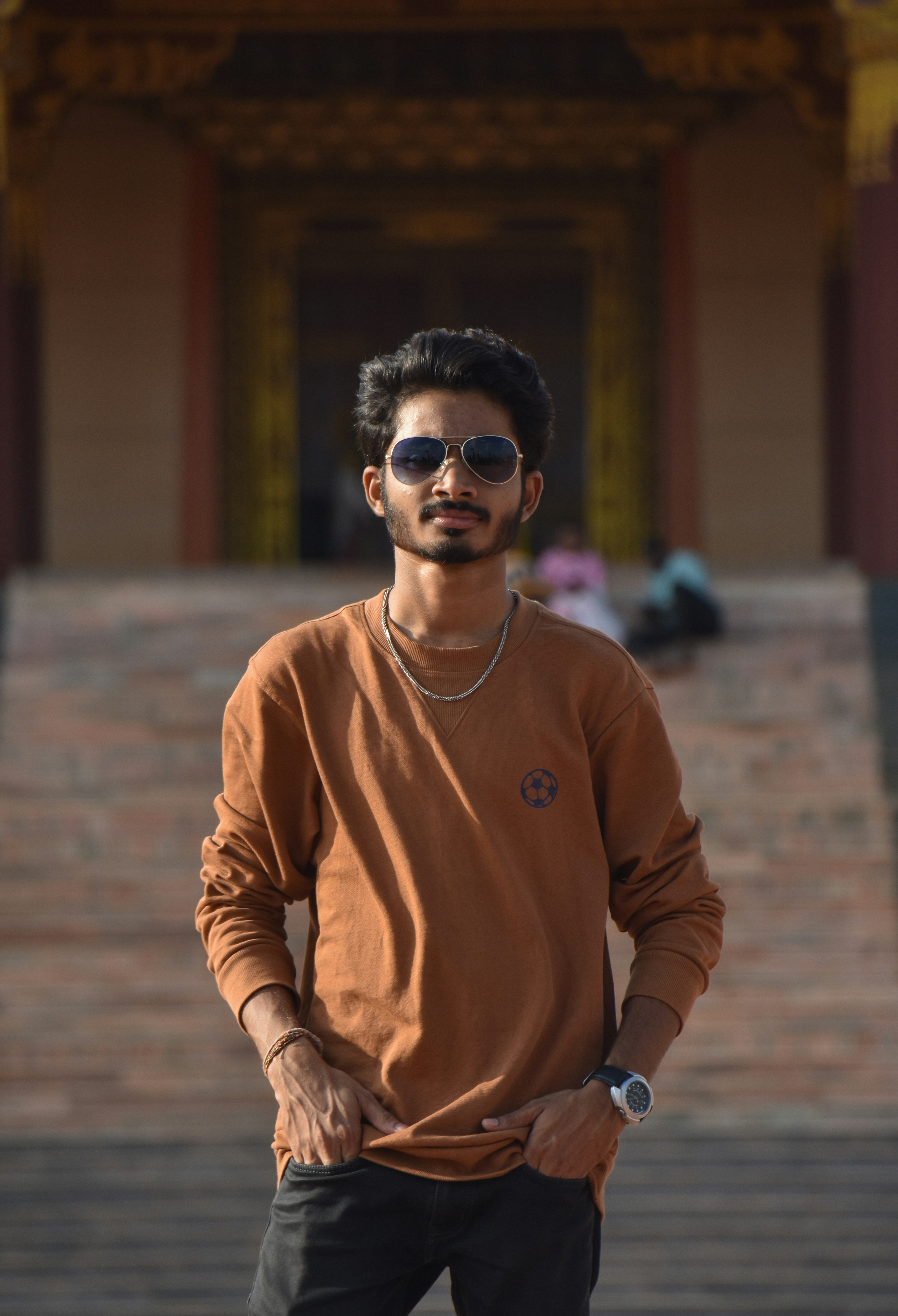 会员特权：专属专题与导读